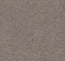 Ковролин AW Vivendi Punch 39 фото 1 | FLOORDEALER